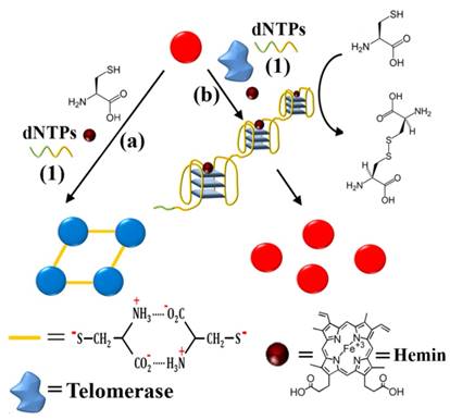 Theranostics Image