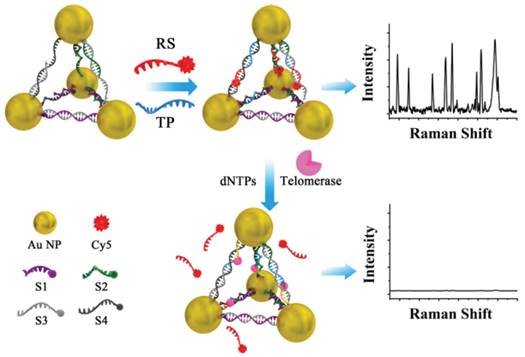 Theranostics Image