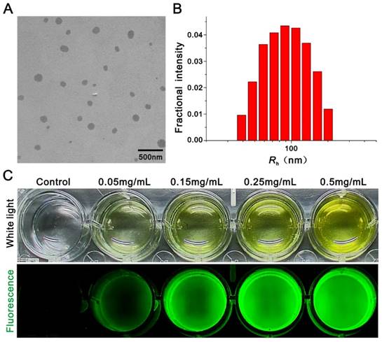 Theranostics Image