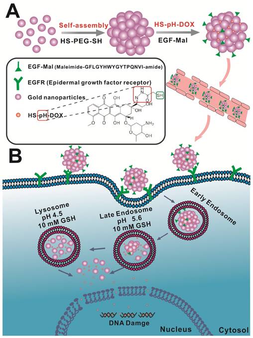 Theranostics Image