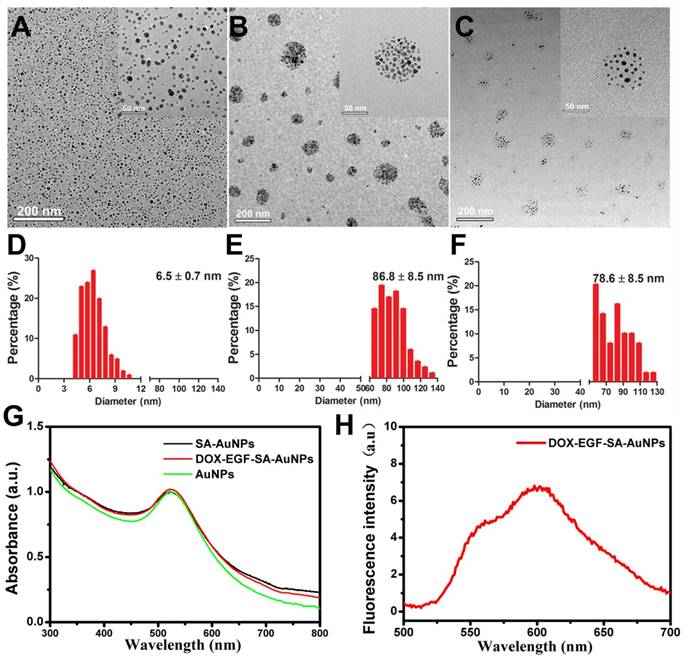 Theranostics Image