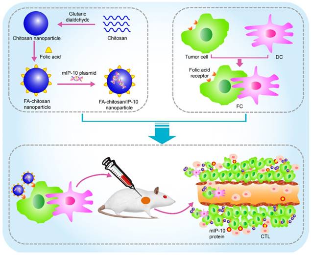 Theranostics Image