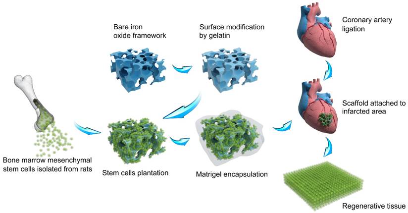 Theranostics Image