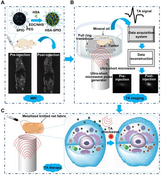 Theranostics Image