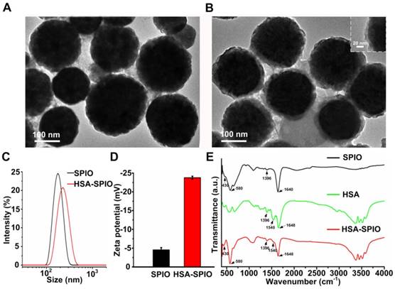 Theranostics Image