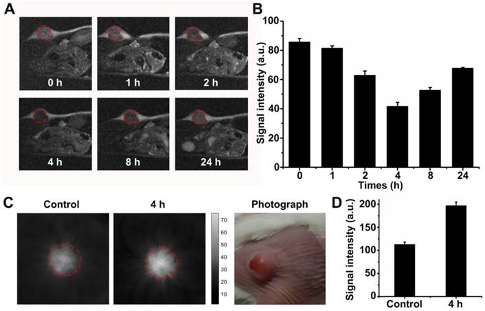 Theranostics Image