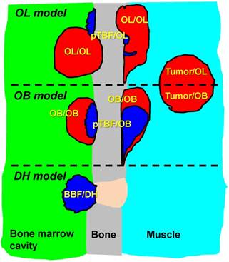 Theranostics Image