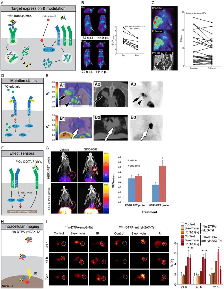 Theranostics Image