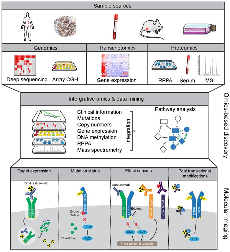 Theranostics Image