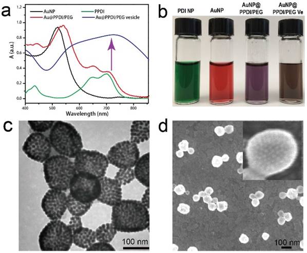 Theranostics Image