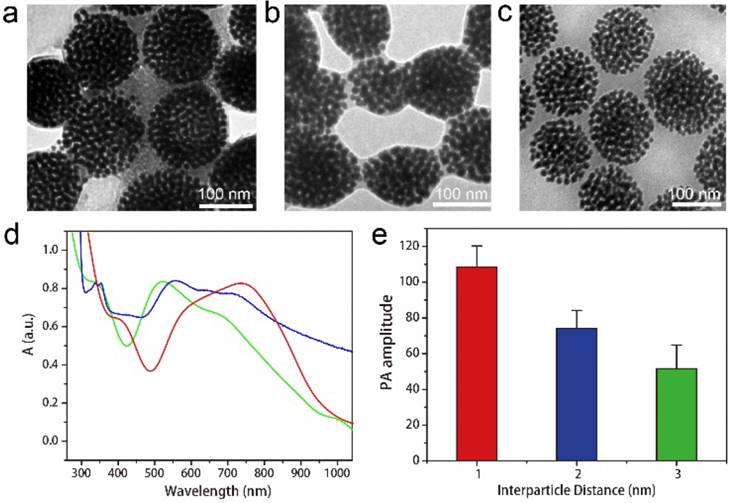 Theranostics Image