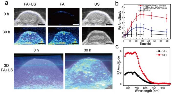 Theranostics Image