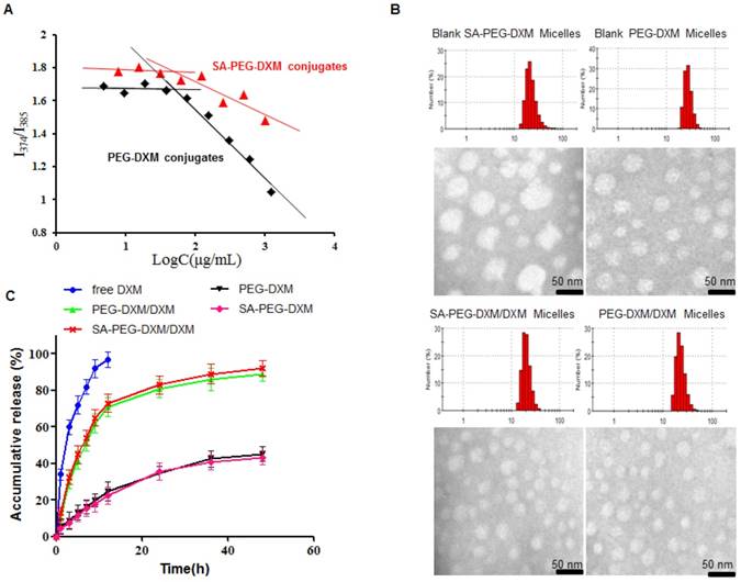 Theranostics Image