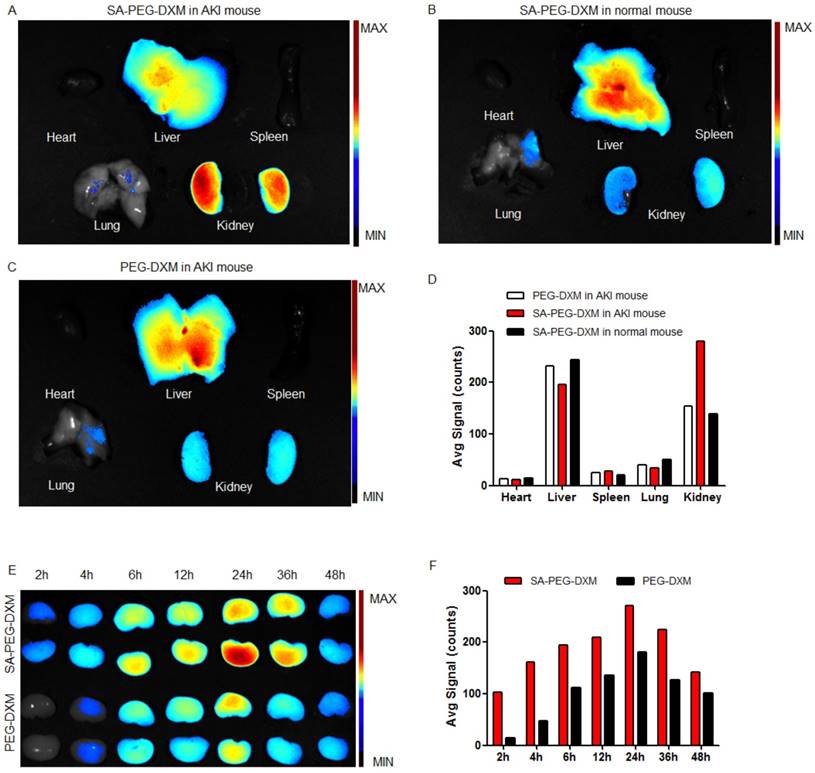 Theranostics Image