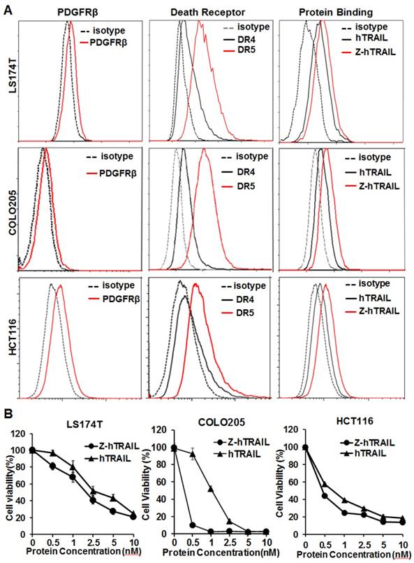 Theranostics Image