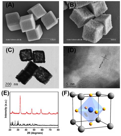 Theranostics Image