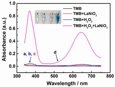 Theranostics Image