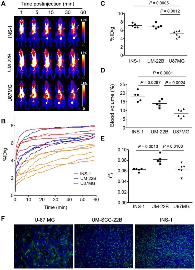 Theranostics Image