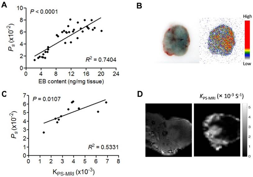 Theranostics Image