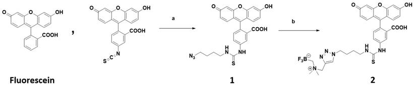 Theranostics Image