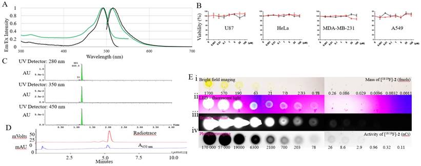 Theranostics Image