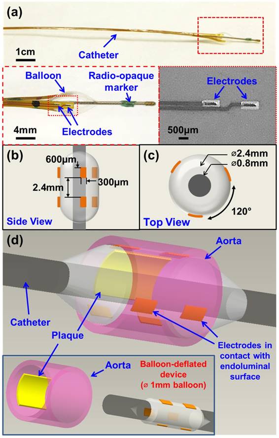 Theranostics Image