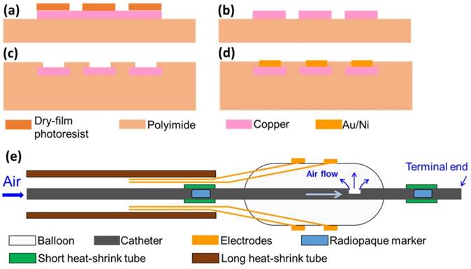 Theranostics Image