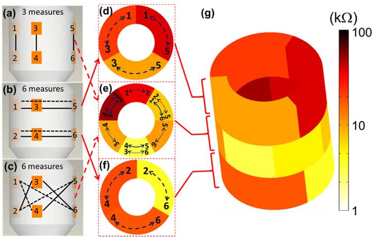 Theranostics Image