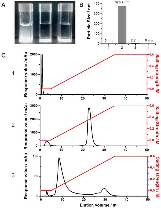 Theranostics Image