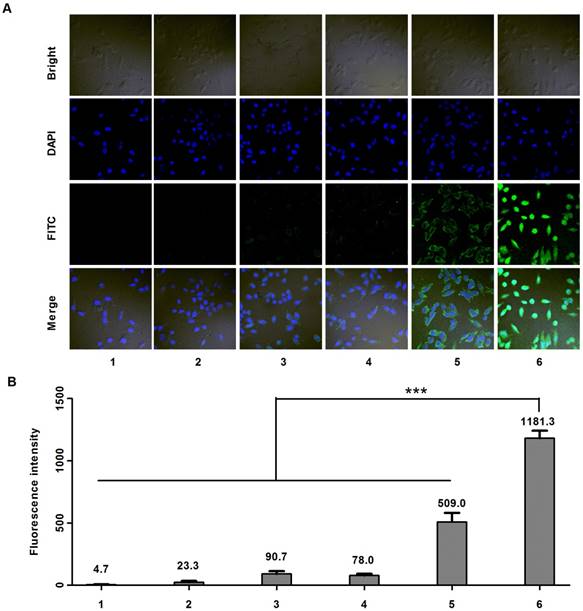 Theranostics Image