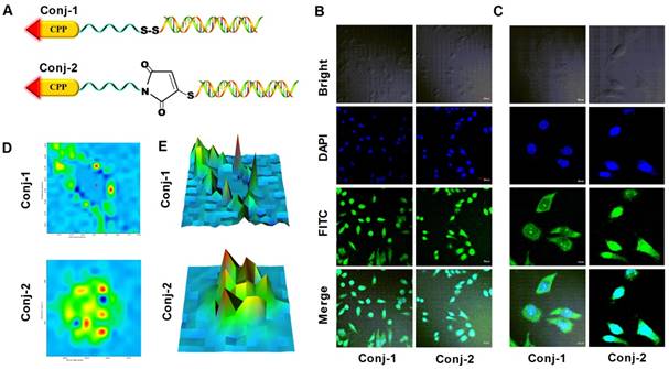 Theranostics Image