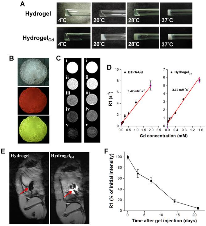 Theranostics Image