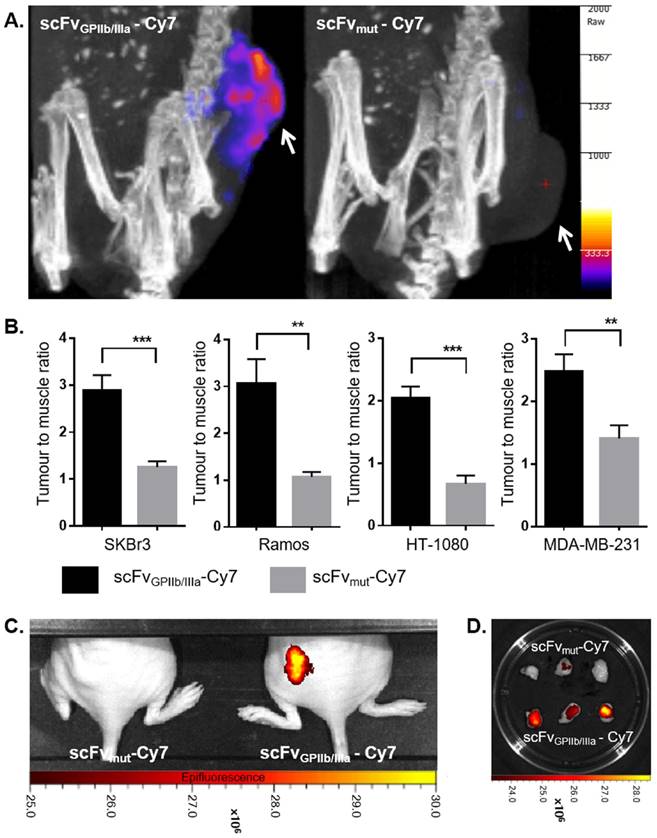 Theranostics Image