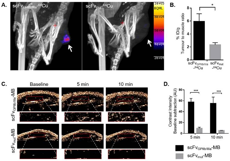 Theranostics Image