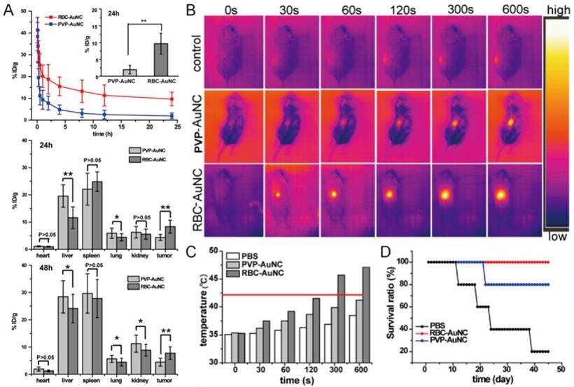 Theranostics Image