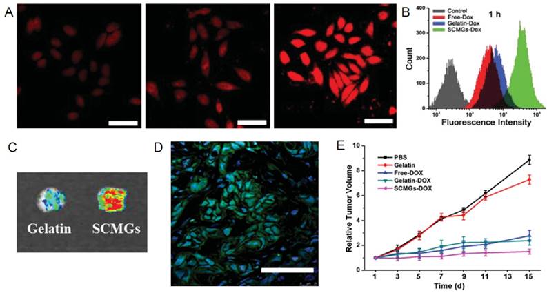 Theranostics Image