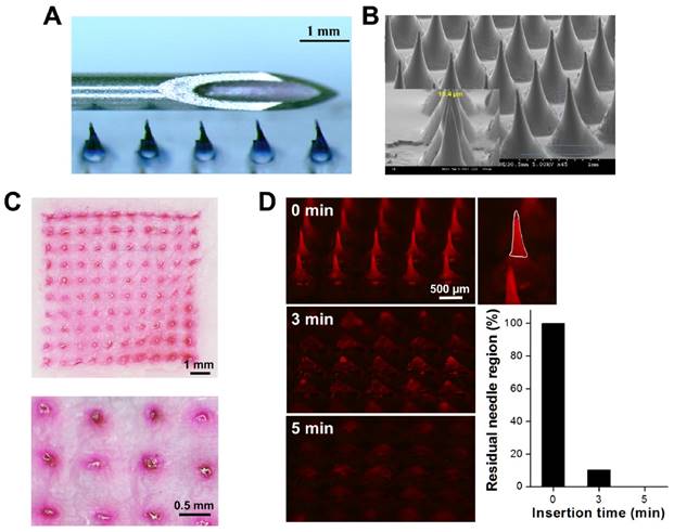 Theranostics Image