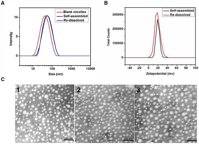 Theranostics Image