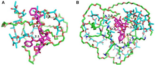 Theranostics Image