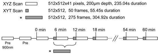 Theranostics Image