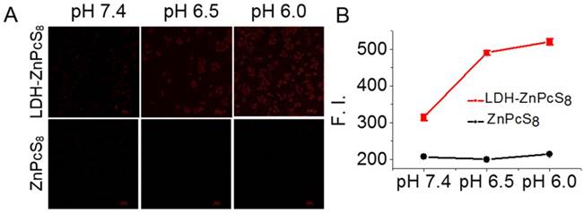 Theranostics Image