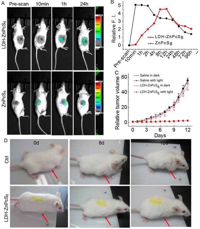 Theranostics Image