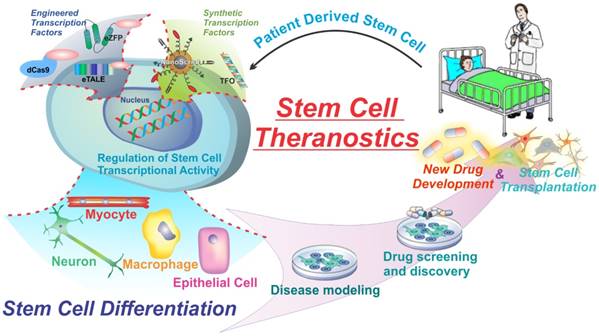 Theranostics Image