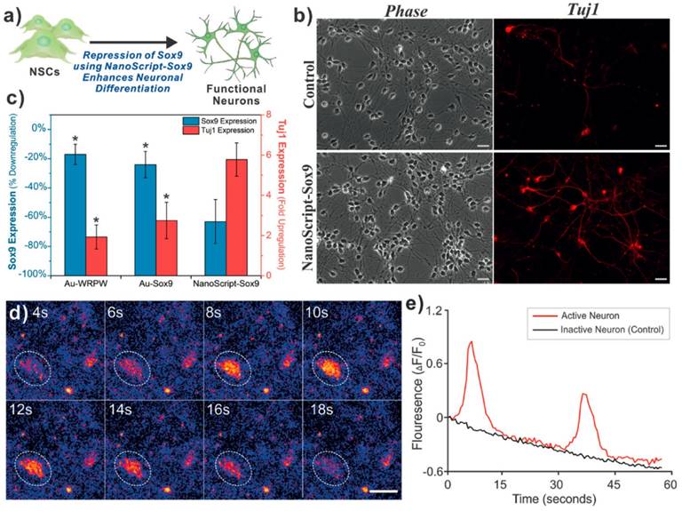 Theranostics Image