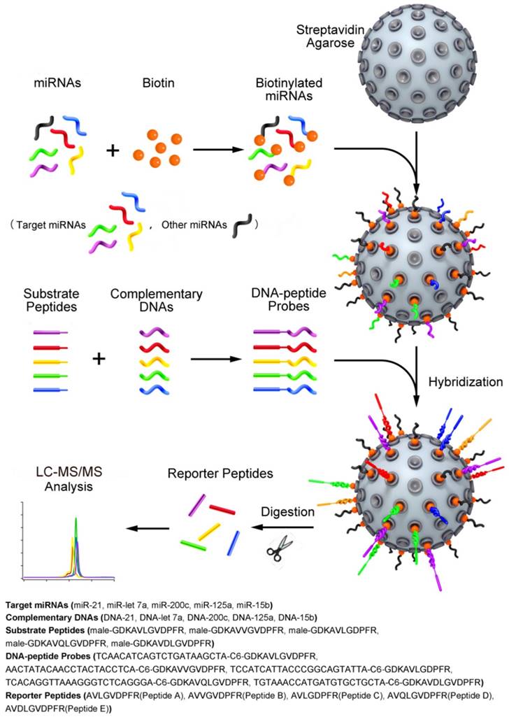 Theranostics Image