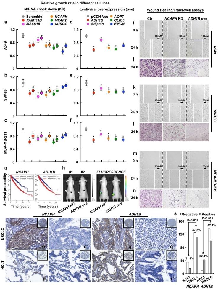 Theranostics Image