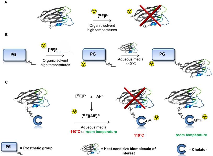 Theranostics Image