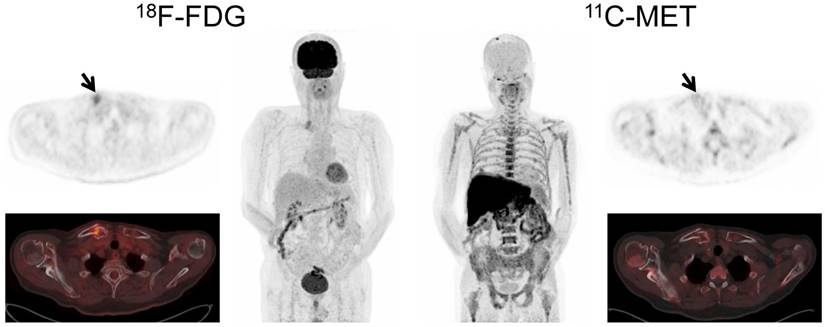 Theranostics Image