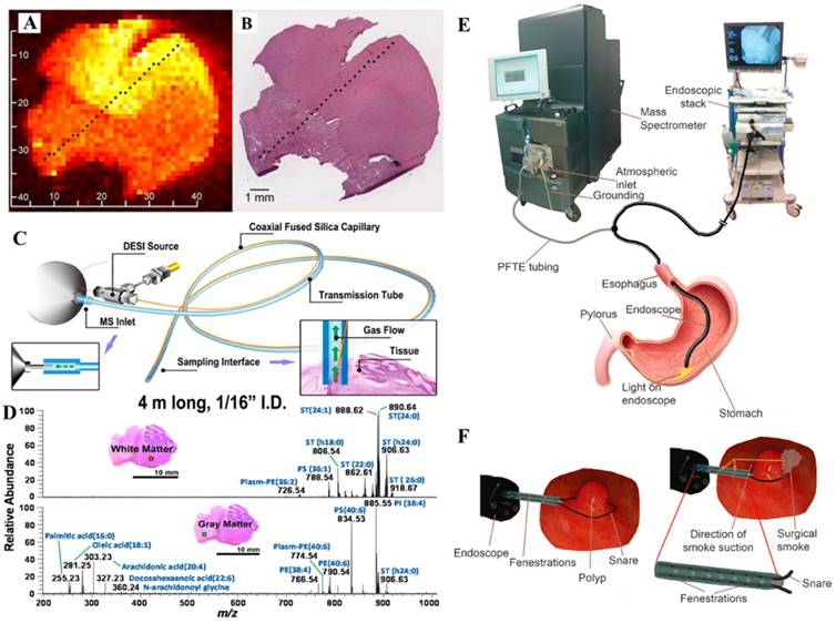 Theranostics Image