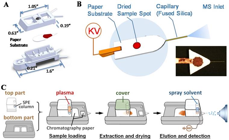 Theranostics Image